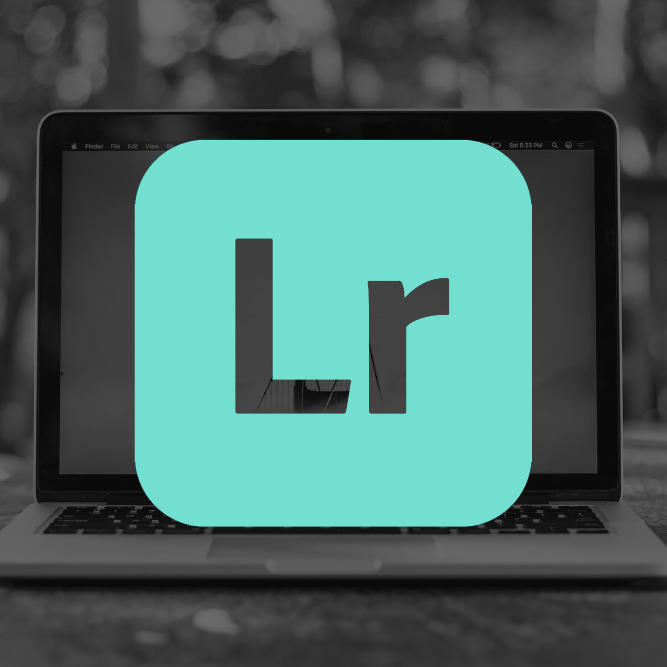 Lightroom cursus