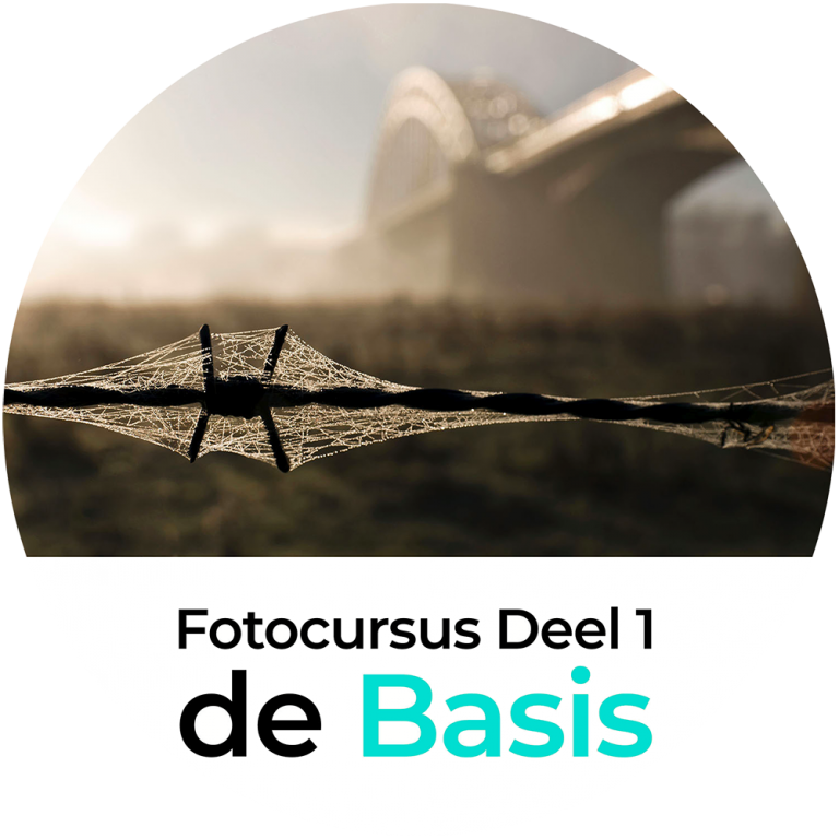 basiscursus fotografie