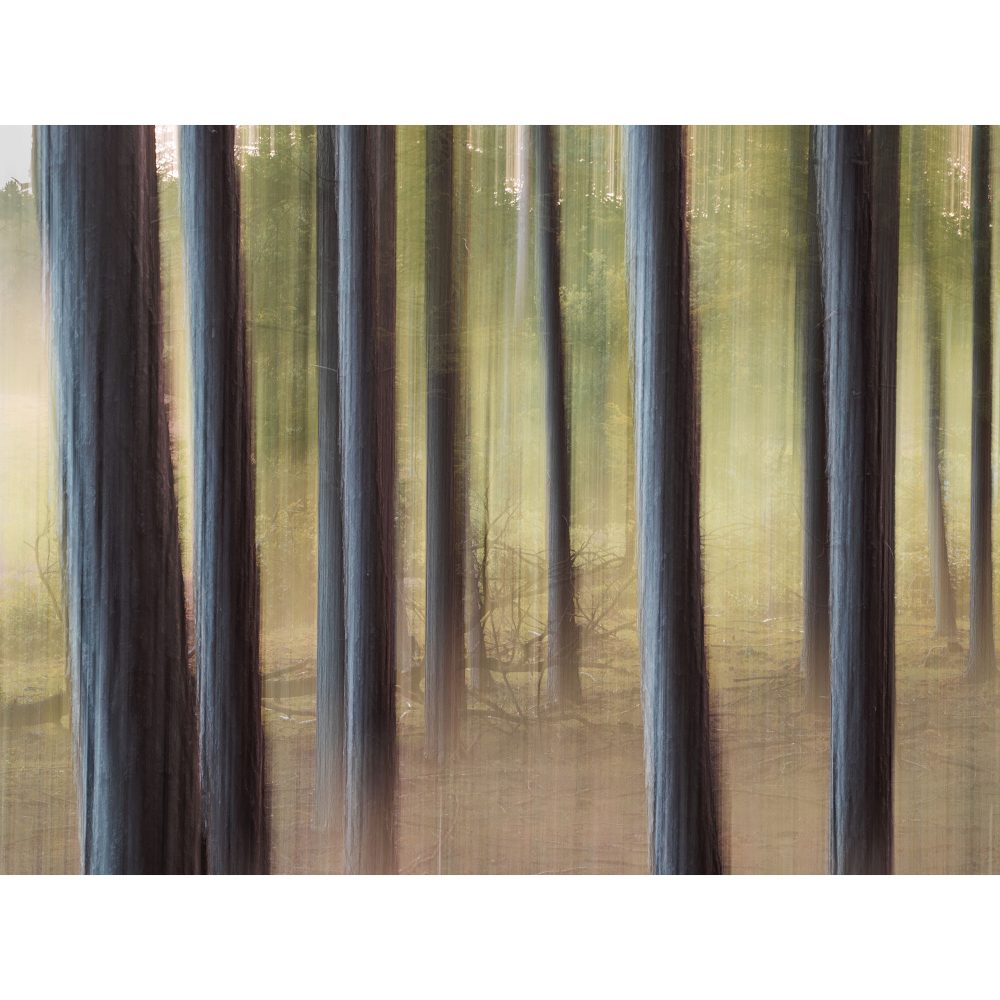 Basiscursus Fotografie Compleet | 9 lessen - Afbeelding 11