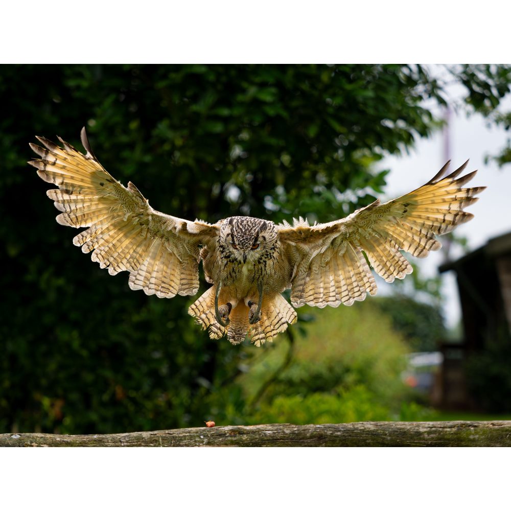 Basiscursus Fotografie Compleet | 9 lessen - Afbeelding 10