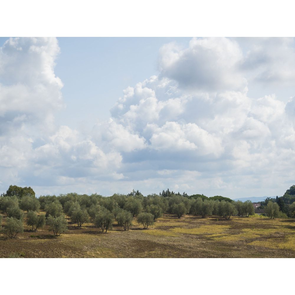 Basiscursus Fotografie Compleet | 9 lessen - Afbeelding 9