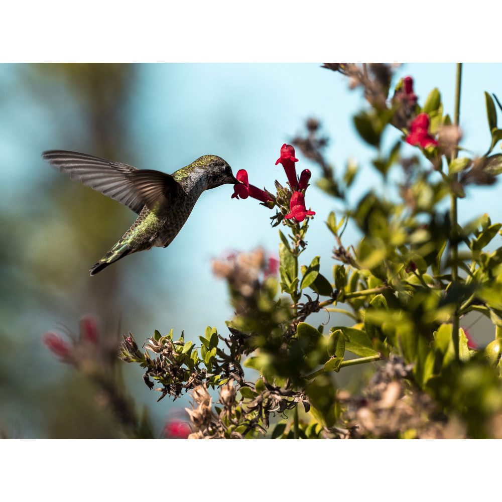 Basiscursus Fotografie Compleet | 9 lessen - Afbeelding 8