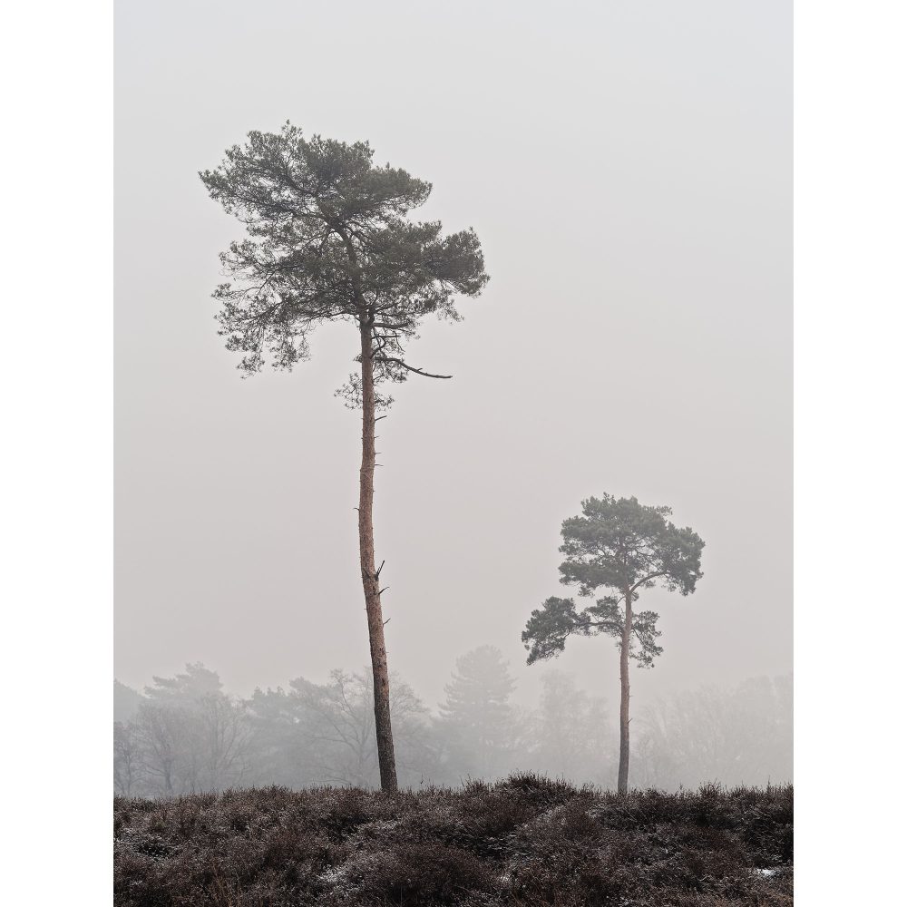 Basiscursus Fotografie Compleet | 9 lessen - Afbeelding 5