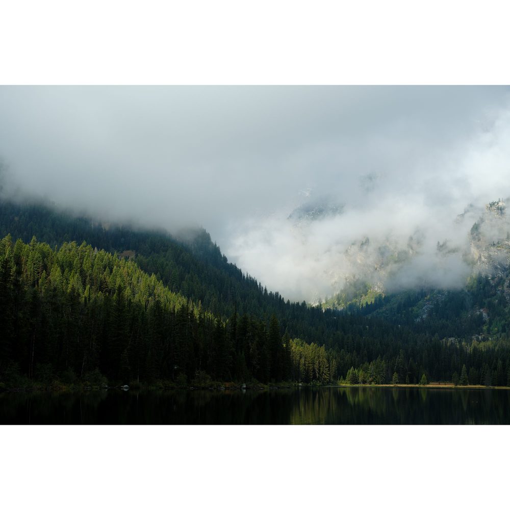 Basiscursus Fotografie Compleet | 9 lessen - Afbeelding 3