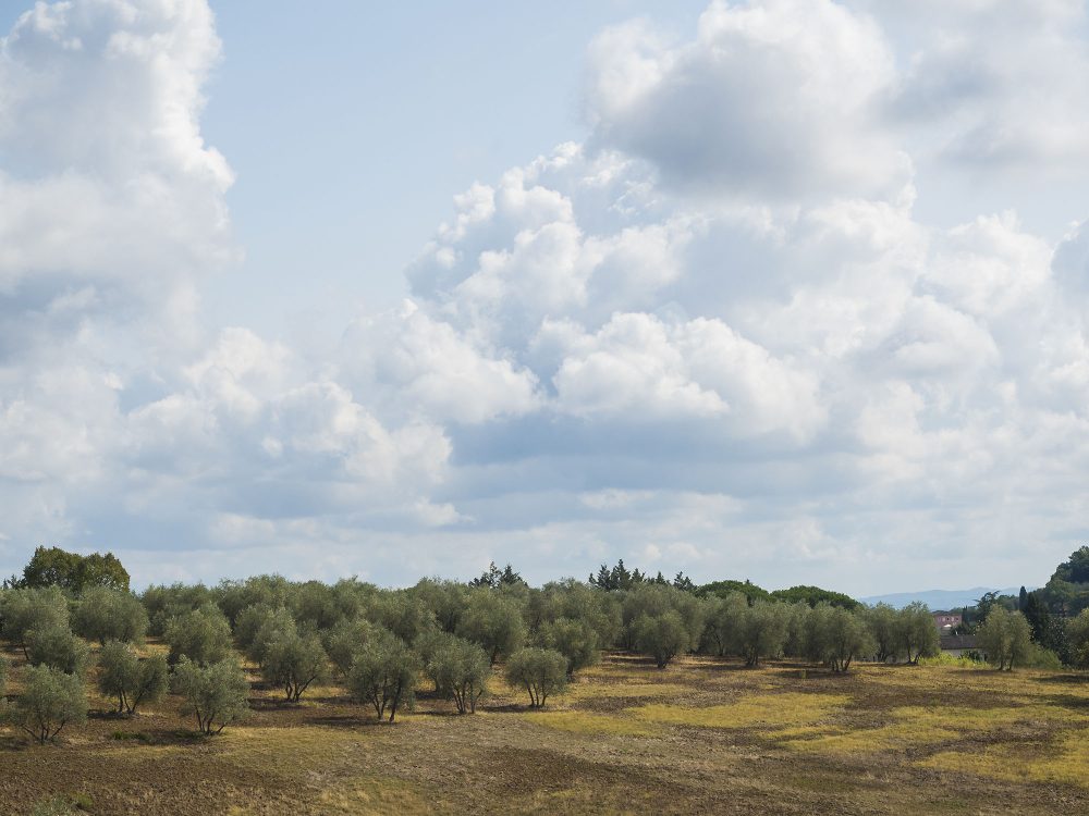 1-daagse Cursus Vakantiefotografie - Afbeelding 4