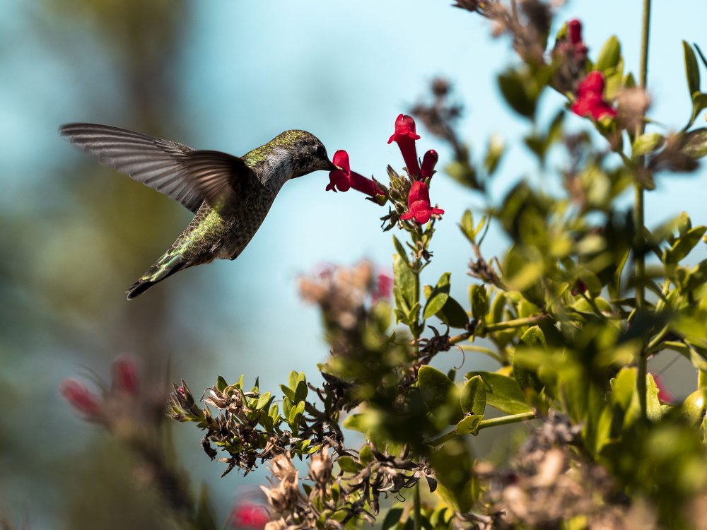 1-daagse Cursus Vakantiefotografie - Afbeelding 2