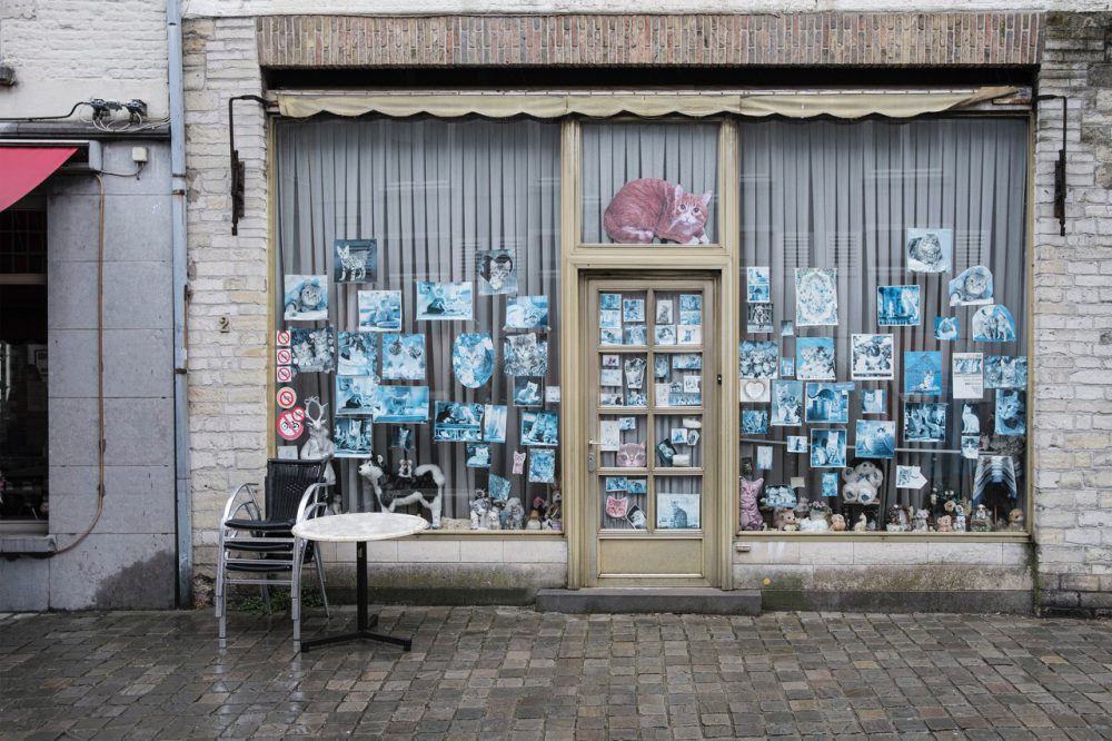 1-daagse Cursus Vakantiefotografie - Afbeelding 9