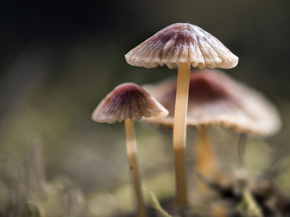 Workshop Herfstfotografie