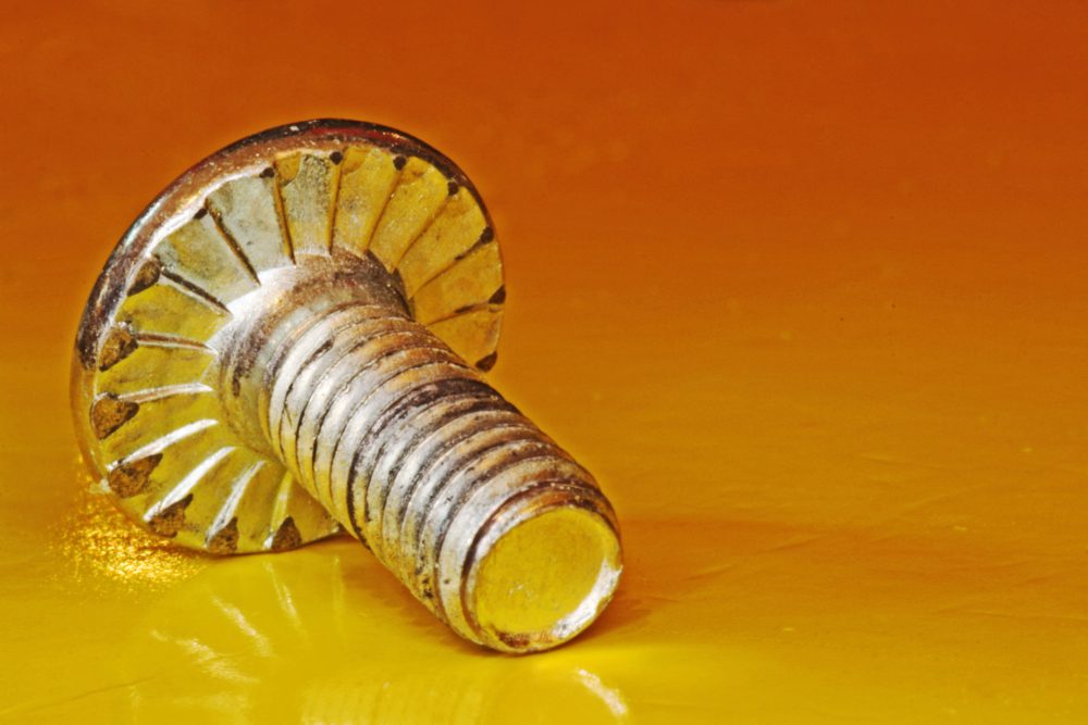 Workshop Macrofotografie van alledaagse objecten