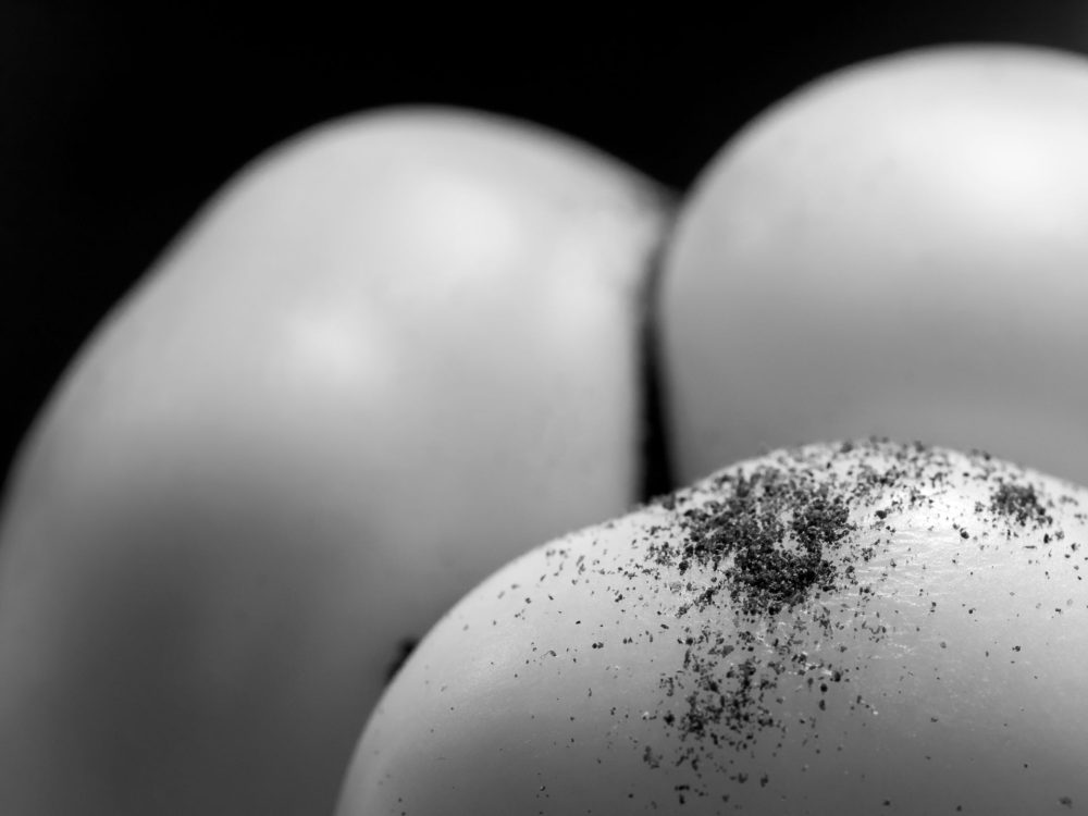 Workshop Macrofotografie van alledaagse objecten - Afbeelding 5