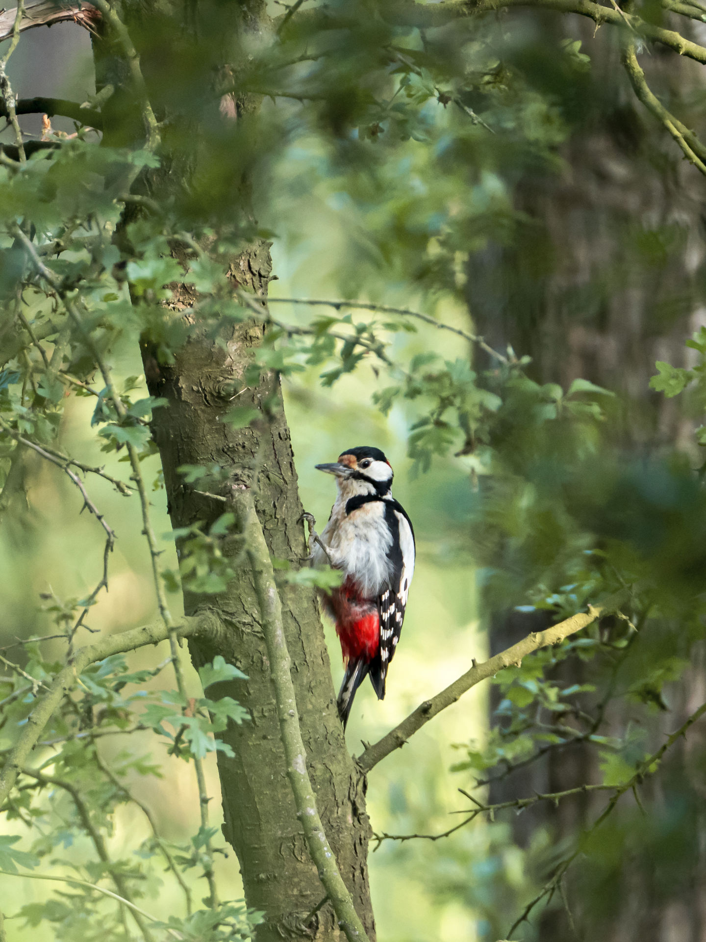 Workshop Natuurfotografie