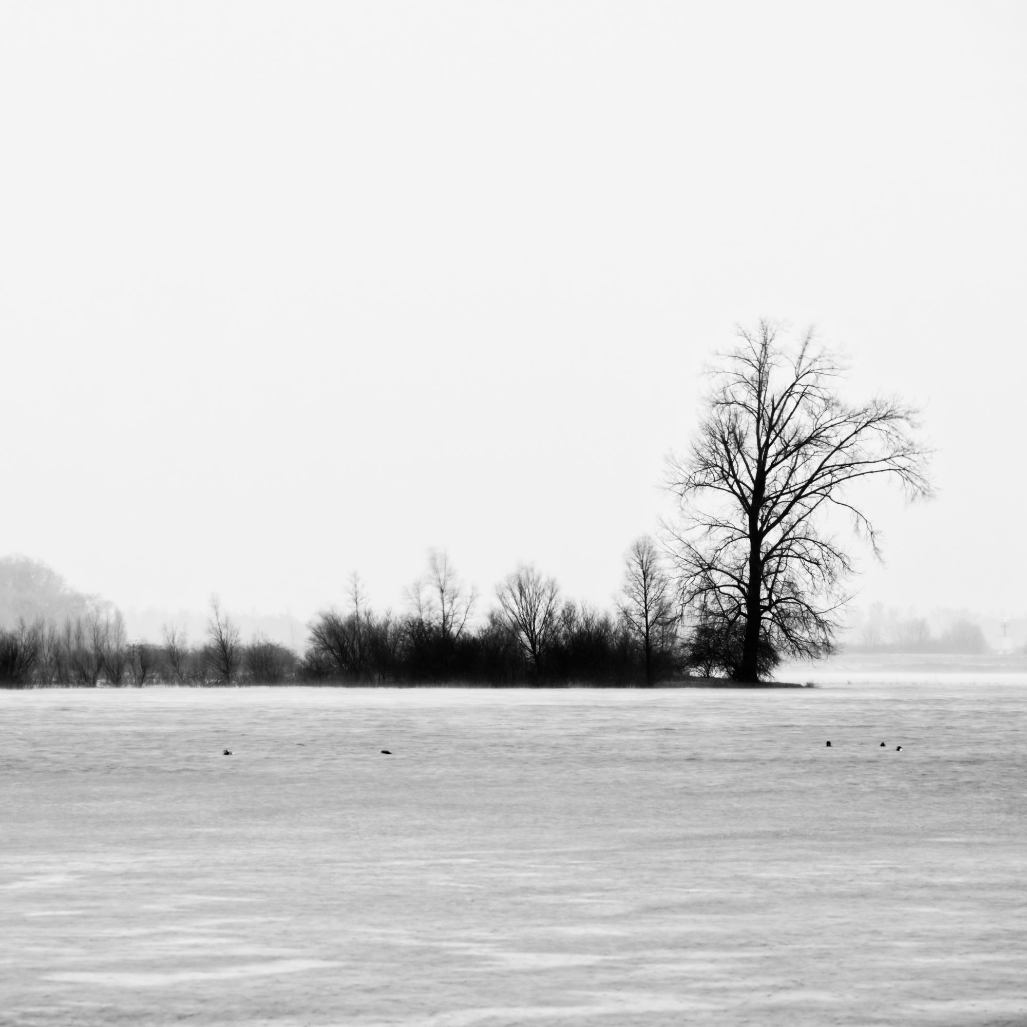 Workshop Landschapsfotografie geïnspireerd op Michael Kenna